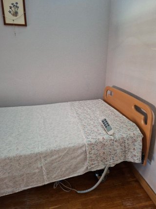 Cama articulada eléctrica con mando y colchón