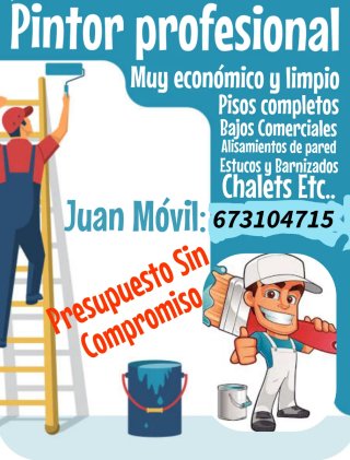 Pintor profesional económico y limpio