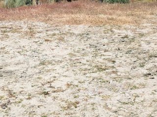 Terreno a 1.5 km de Coin