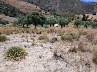 Terreno a 1.5 km de Coin
