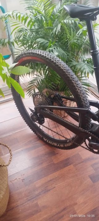 Scott Spark 910