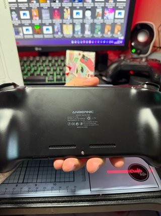 Anbernic RG556 8GB RAM 128GB + 128GB SD