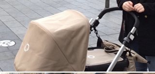 Carrito 2 en 1, marca  Bugaboo Cameleon 3
