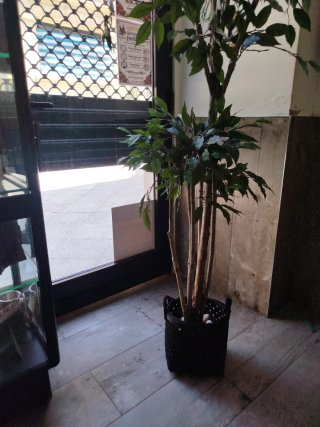Planta artificial decorativa