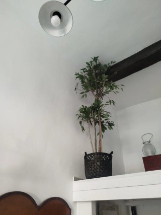 Planta artificial decorativa