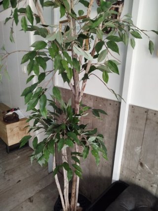 Planta artificial decorativa