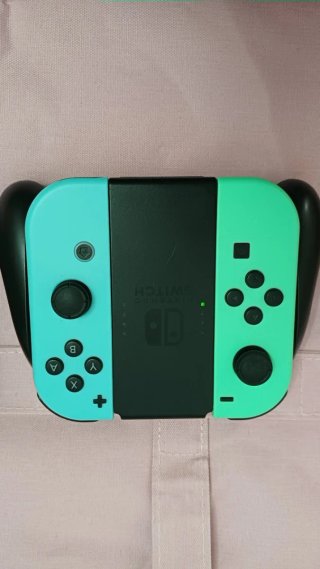 Nintendo Switch impecable con todos sus accesorios