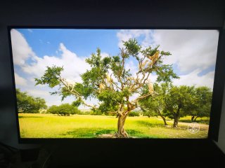 Monitor LG 27 4K UHD HDR 27UK600-W