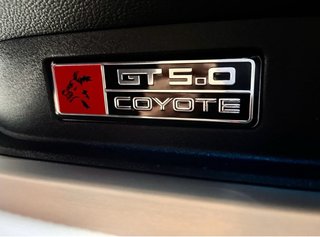 Ford Mustang gt 5.0