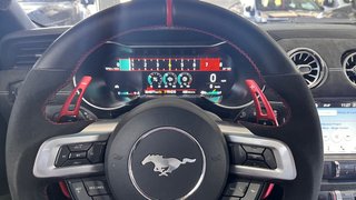 Ford Mustang gt 5.0