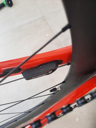 Trek Madone SL6 Roja