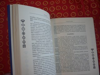 EL YOGA DE LA ENERGIA ( RAMIRO CALLE ) TANTRA