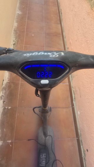 Patinete Smartgyro 10