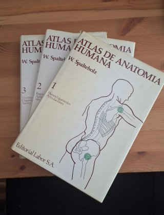 Atlas de anatomia Spalteholz