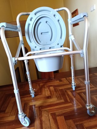 Silla WC 4 en 1: Asiento, Inodoro, Ducha
