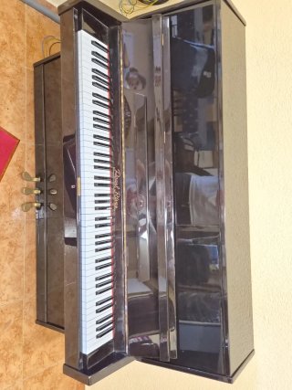 Piano Vertical Pearl River