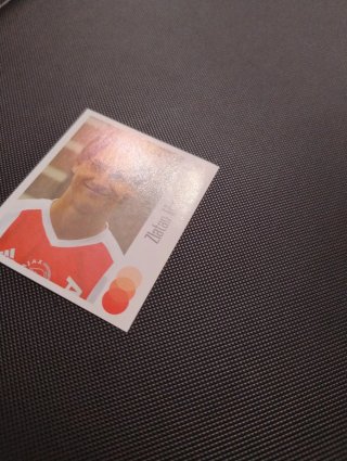ZLATAN IBRAHIMOVIC 39 PANINI VOETBAL ROOKIE 2003