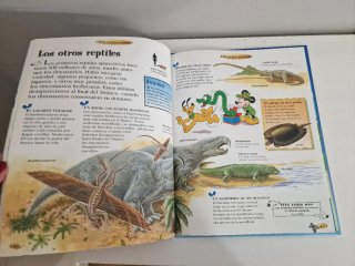 Lote dos libros "El maravilloso mundo del conocimi