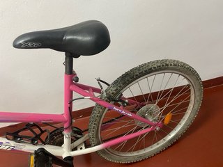 Bicicleta junior Boomerang 24 rosa