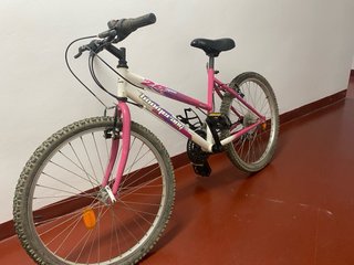Bicicleta junior Boomerang 24 rosa