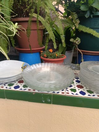 JUEGO 20 PLATOS