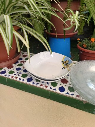 JUEGO 20 PLATOS