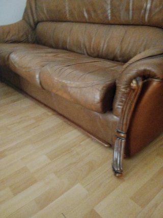 Sofá y sillón de piel marrón