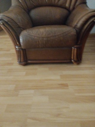 Sofá y sillón de piel marrón