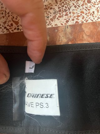 Espaldera Dainese Ducati