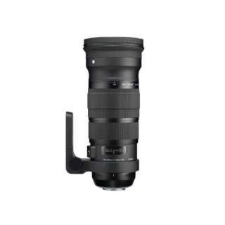 Sigma 120-300mm f2.8 Sport Canon