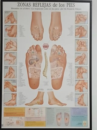 Cuadro Reflexologia podal