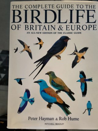 Birdlife Gb and Europe Ted Smart