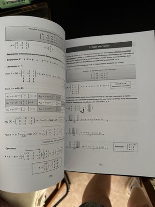 Matemáticas aplicadas a las ciencias sociales II