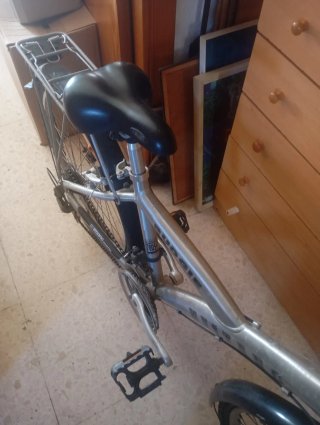 Bicicleta Mustang 24