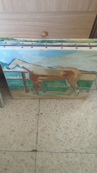 Lienzos para reutilizar