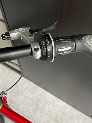 Bici plegable Dahon Speed P8 rueda 20