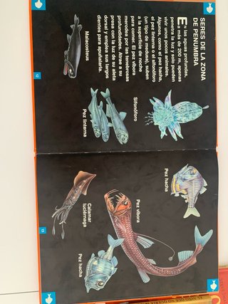 Criaturas marinas el libro que se puede leer en...