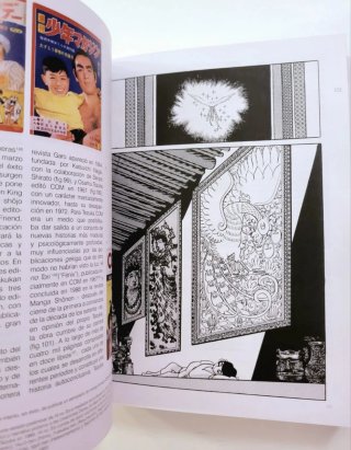 Manga la era del nuevo cómic