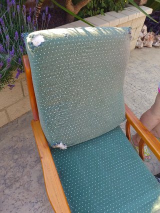 Poltrone in legno e tessuto (2 unità) molto comode