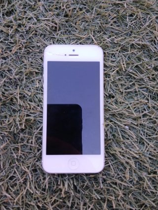 iPhone 5 Plata de 16GB