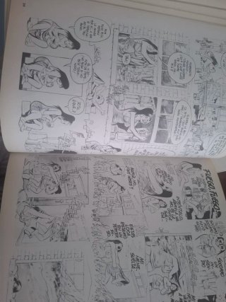 Libro  N.Y.City The big