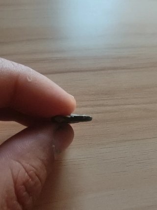 Moneda Ibérica Cástulo Jabalí