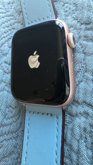 Apple Watch Series 6 Oro Rosa 44mm Azul