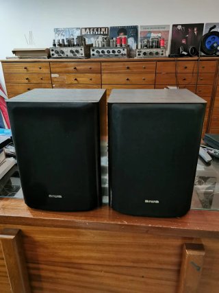 Casse Acustiche Aiwa SX-NV75