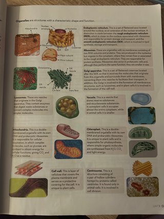 Biology and Geology, Secondary 4th
