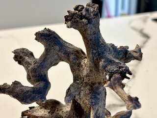 Bonsai natural sobre Roca Dragon para acuario