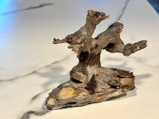 Bonsai natural sobre Roca Dragon para acuario
