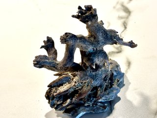 Bonsai natural sobre Roca Dragon para acuario