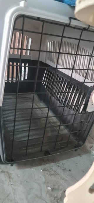 Transportín grande para perros