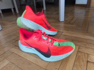 Nike Pegasus Plus – Talla 42